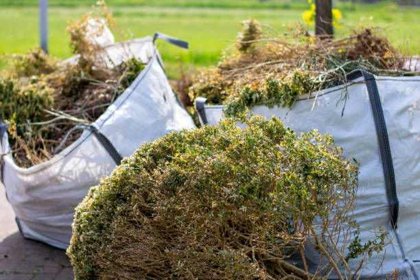 Recycling Services for Junk in Egypt Lake Leto, FL